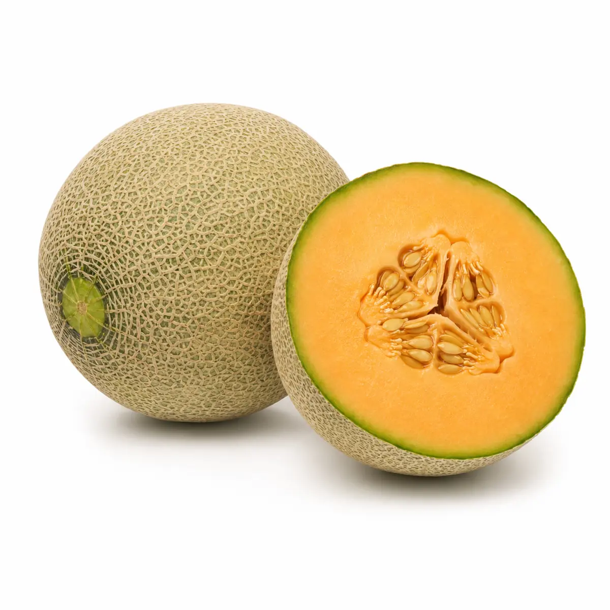 Cantaloupe
