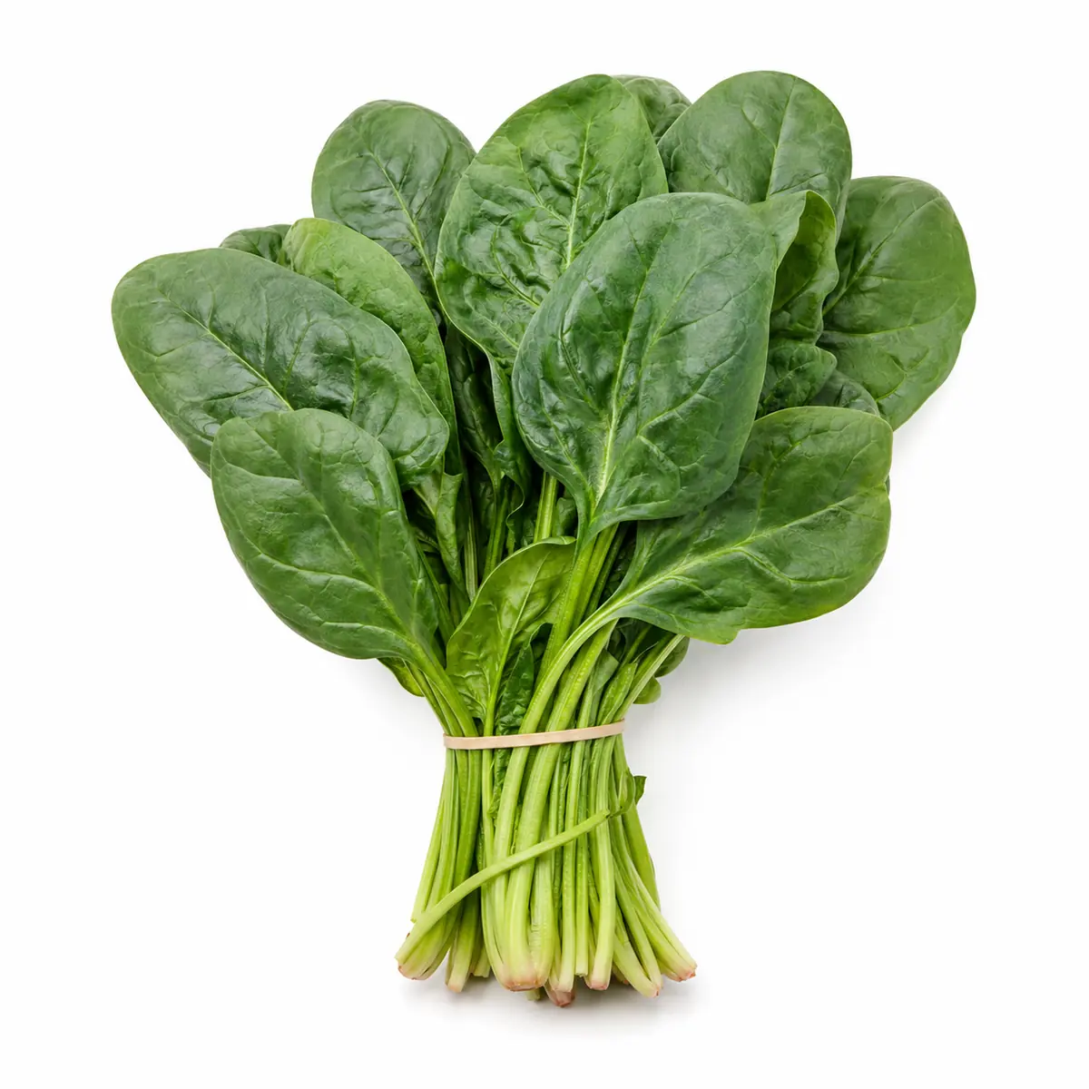 Spinach